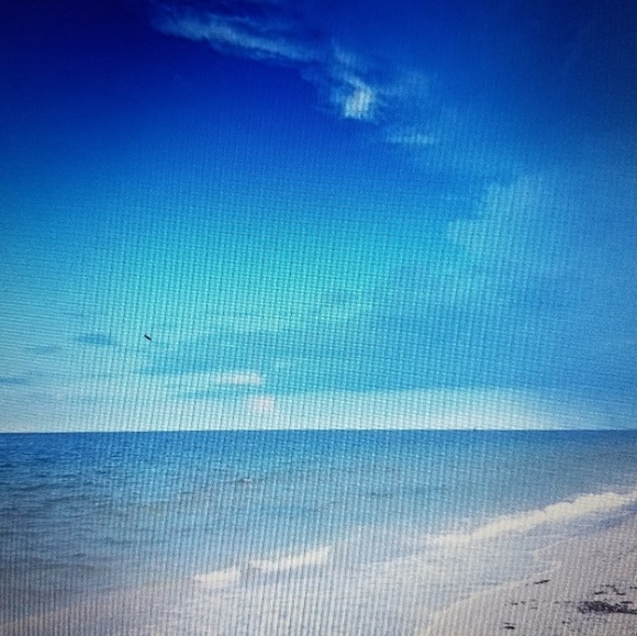 Meet your Posher, Omi - Picture 1 of 1